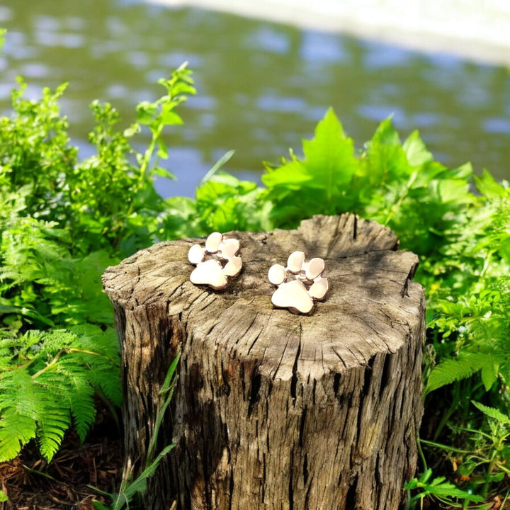 Hypoalergenní pootoorbelly 