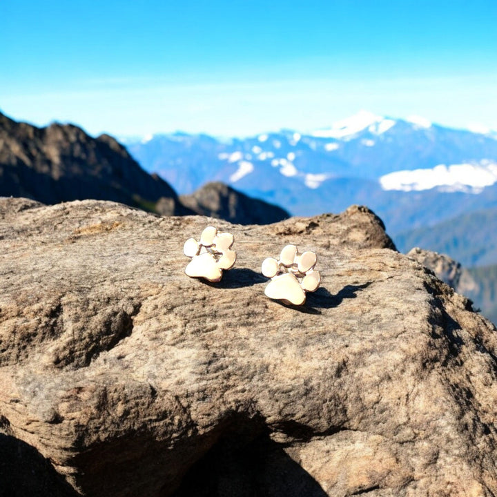 Hypoalergenní pootoorbelly 